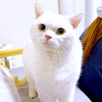 音の発生元である“主”をガン見するしらたまくん（画像提供：月としらたまさん）