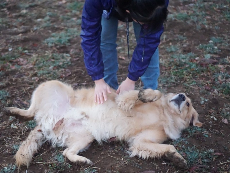 「ここに来た日からごろーんしたね」