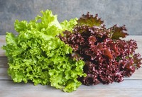 サニーレタスをちぎって調味料を加えて混ぜ、海苔を散らすだけでOK※画像はAIが作成したイメージです（Taslima/stock.adobe.com）