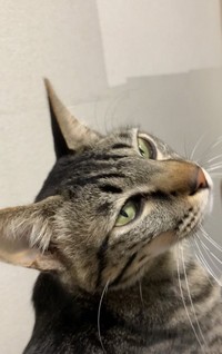 キス待ち中の決め顔