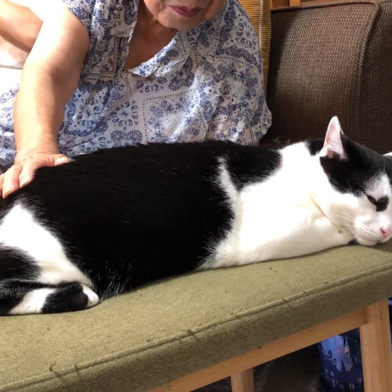 おばあちゃんにも、お尻トントンしてもらったっけなあ……（夏子さん提供）