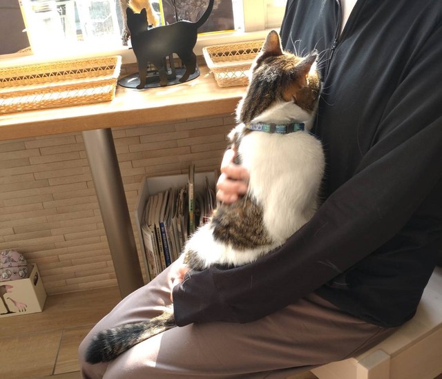 甘えん坊のカイ店長