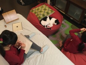 いまは子育てで猫との時間が作れなくても　いつか「みんなで家族だんらん」の時が来る