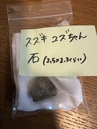 ゆずちゃんの胃から摘出した石（「2代目マサイノセンシ1026（Ver1.25）」さん提供）