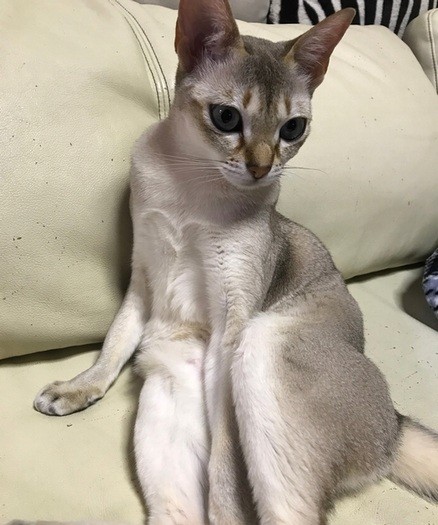 ラスボスオーラが出ています