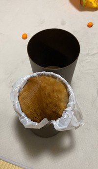 新しい袋セットしたはずなのにもうゴミが満タン！（つぶさん提供）