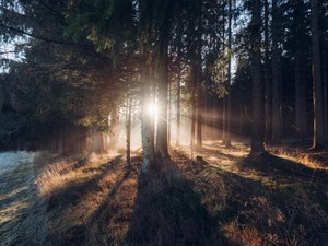 歩いて10分の距離にいた彼との別れ。「また今度」を信じて強くなる