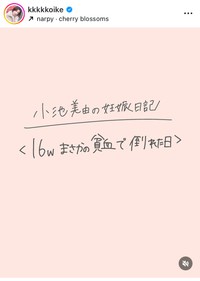 小池美由インスタグラム＠kkkkkoikeより