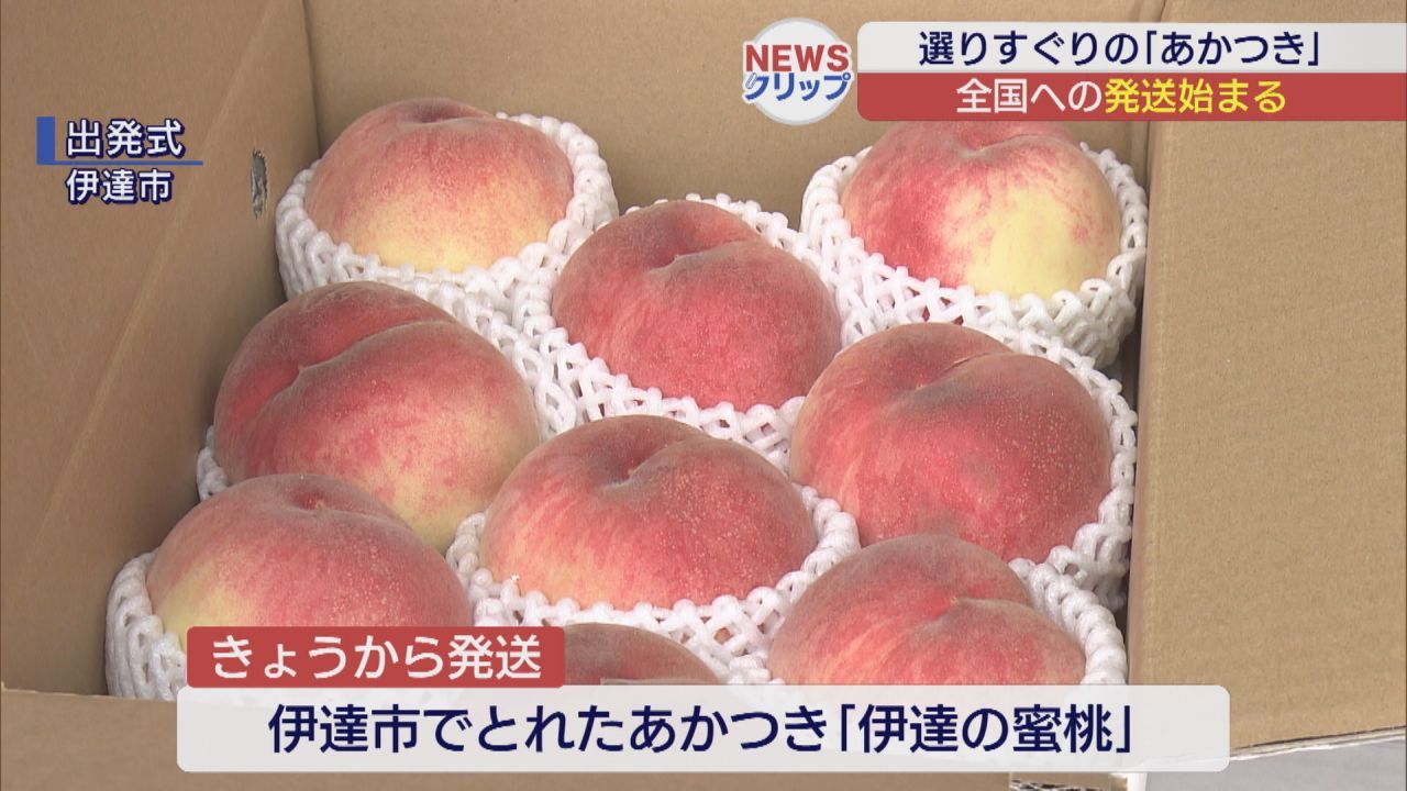 秋の味覚 郡山のナシ ゆうパックでの発送始まる | ふくしまNEWS KFB