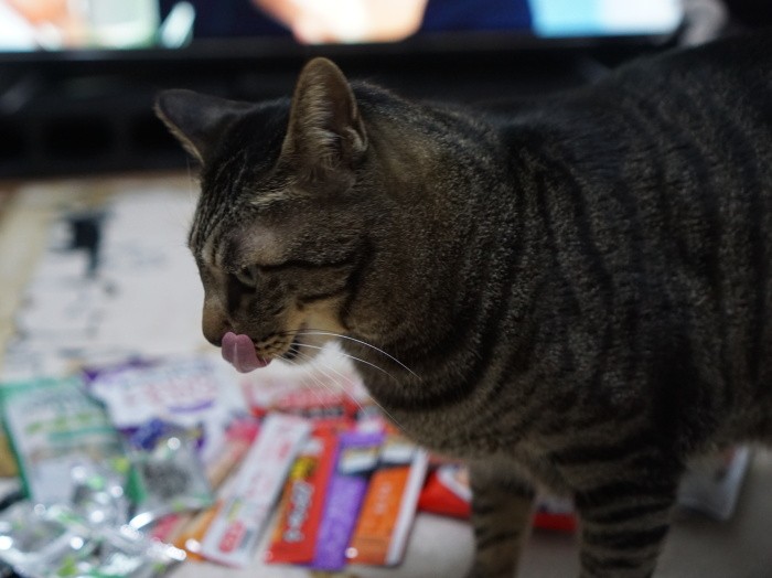 ねだられると、ついあげてしまう