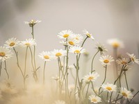 一体感は生活の中で育まれる。だからこそ個人が納得のいく名字の選択を