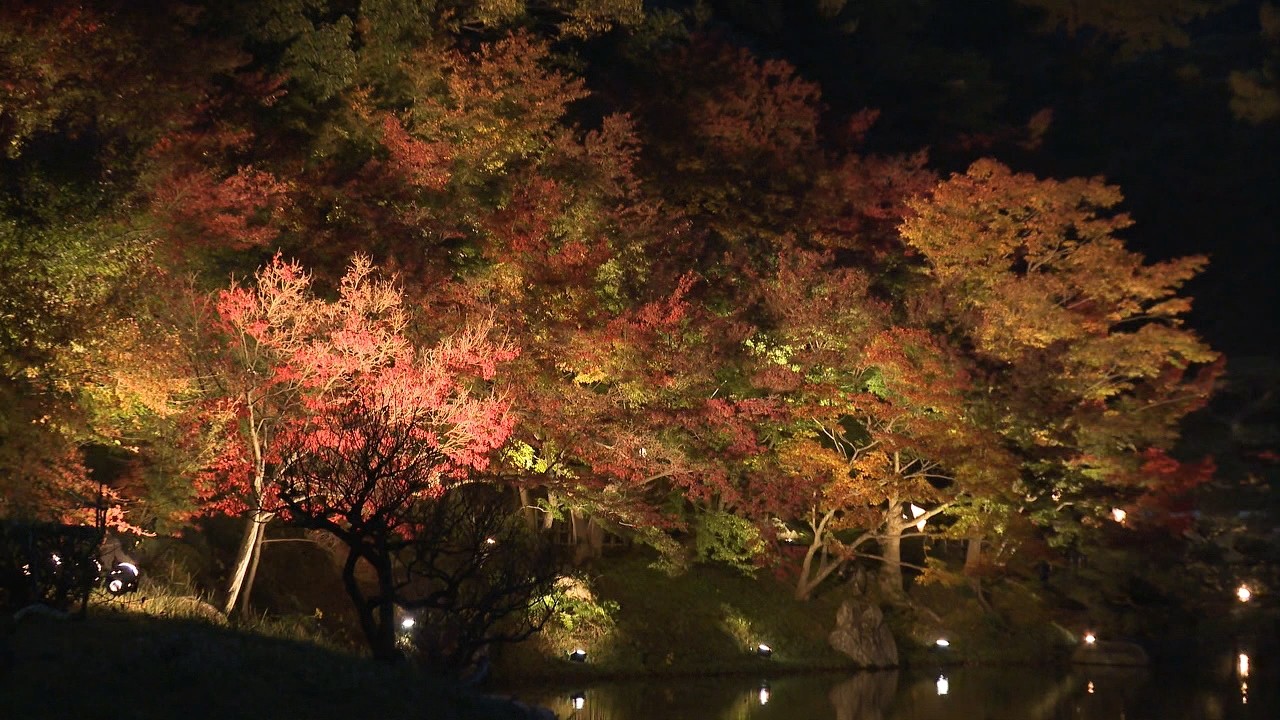 栗林公園で 紅葉ライトアップ に向け試験点灯 日からスタート 高松市 Ksbニュース Ksb瀬戸内海放送