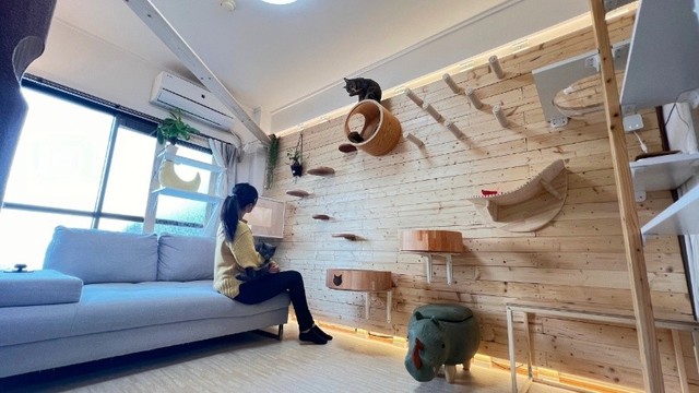 人も猫も快適に過ごせる猫部屋リビング