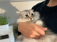 抱っこは全力拒否