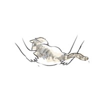 『私のお姫さま』54