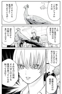 【漫画】『男として見ることができないと振られた男教師と生物学女子』25（小出もと貴さん提供）