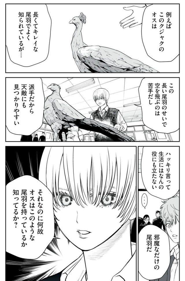 【漫画】『男として見ることができないと振られた男教師と生物学女子』25（小出もと貴さん提供）