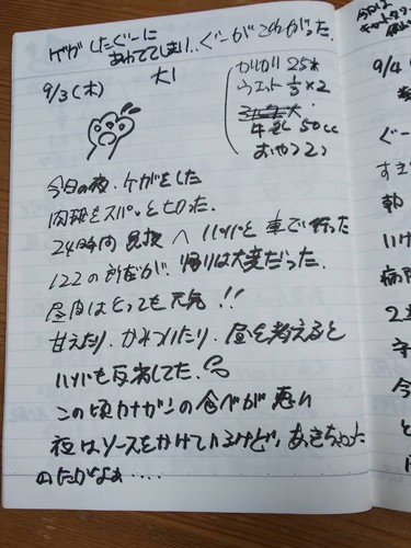 由美さんの猫日記。「ぐーぐー」が室内で怪我した話など、細かく綴られている