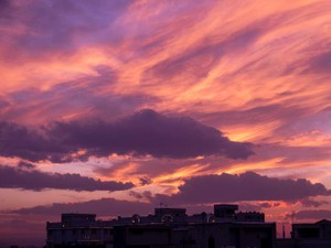 女優のようにまっすぐな言葉とあの子の微笑み。今も夢に見る夕の記憶