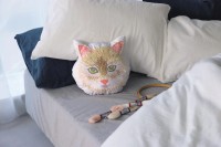 プレスリリースより