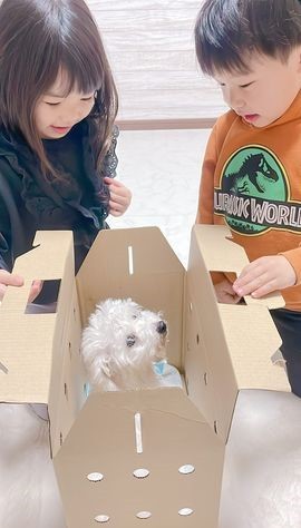 名前は「シロ」。子どもたちが名付け親です（提供）