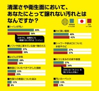 あなたにとって譲れない汚れとは？（提供画像）