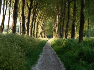 社会人は想像以上に孤独。輝いた日々を送れると思っていたあの頃