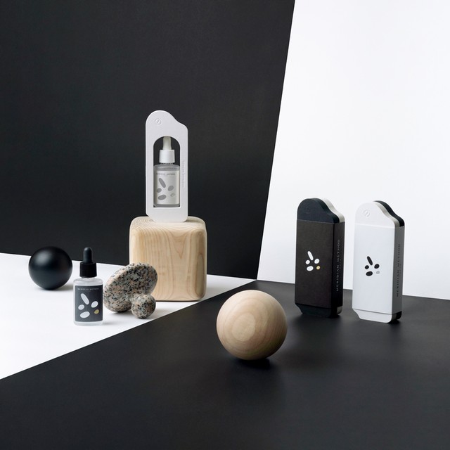 写真・図版