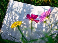 他人優先の私を変えた読書。自分の心に耳を傾けて気づいたこと