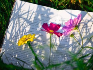 盗み読んだ、父の日記。たった1ページが、反抗期の私を大人にした