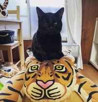 女子部屋に出禁になったの＝anko_kinako22さん提供

