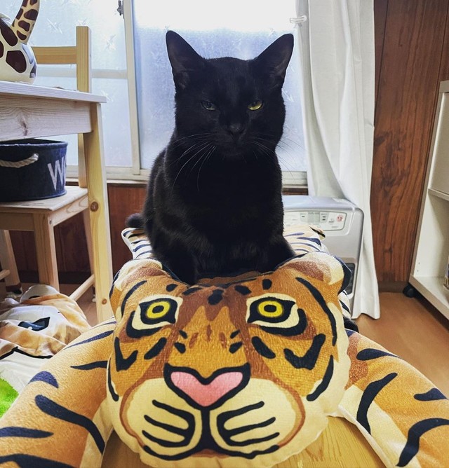 女子部屋に出禁になったの＝anko_kinako22さん提供

