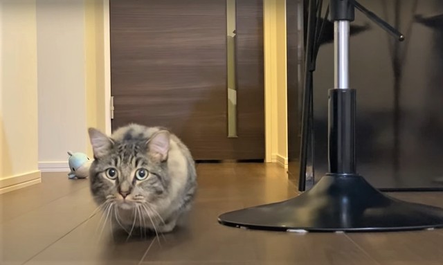 ③ゴールはもう少し