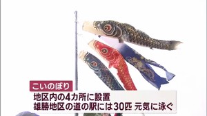 被災者の元気と復興に　宮城・雄勝に６０匹のこいのぼり　震災翌年から継続