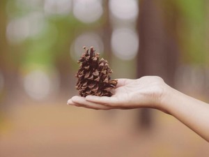 夢はない。推しもいない。だけど私にだって日々の楽しみはある