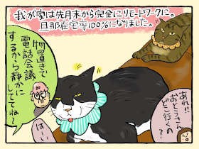 「猫 ✕ 在宅勤務」あるある？　不要不急なドア越しのシャウト