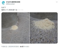 かながわ海岸美化財団公式Xの投稿