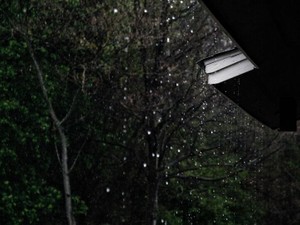 雨漏りが奏でる我が家オリジナルのメロディ。奇妙で愉快な時間の始まり