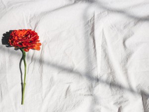 超苦しい恋愛的な「おじさん4部作」が長引いた。停滞の1年を越えて