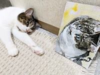 そっくり！ 自分の似顔絵を寝そべって見つめるこむぎちゃん（画像提供：きのひとまるさん）
