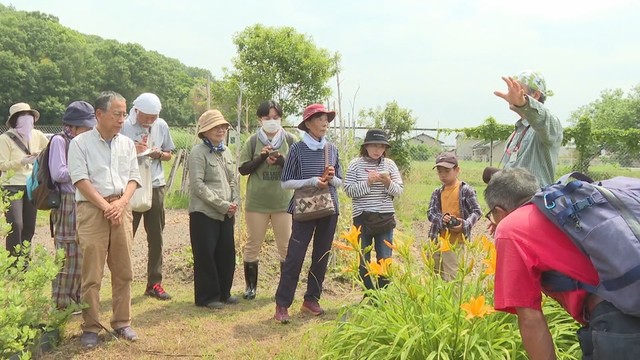 梅雨入り前に　雨の多いこの時期に咲く花の観察会　岡山・倉敷市