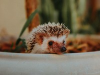 「首相」と「大統領」を言い間違えた彼氏に感じたモヤモヤ