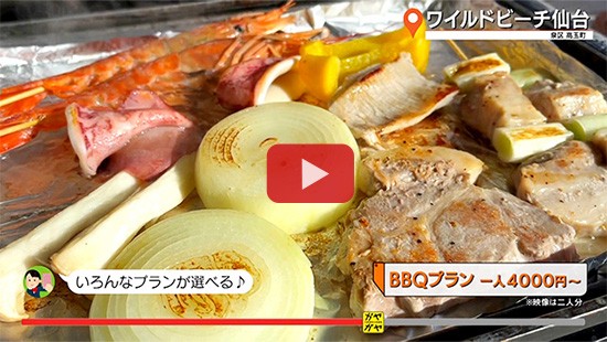 #767ワイルドビーチ仙台①