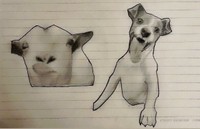 猫じゃないミームも完璧＝あぱる。とさん（@__aprt）提供