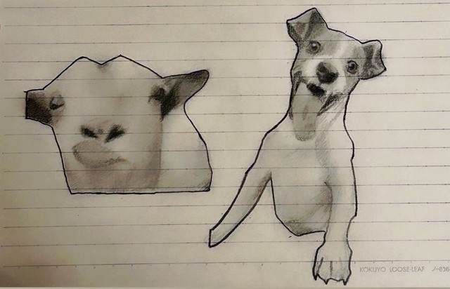 猫じゃないミームも完璧＝あぱる。とさん（@__aprt）提供