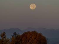 名字が同じであることよりも大切なものが、私たちには存在している