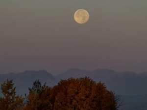 名字が同じであることよりも大切なものが、私たちには存在している