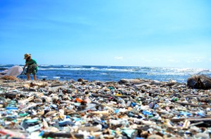 プラスチックごみがハワイの海岸を覆う　いったいどこから来たのか