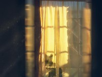 雲の上の人が彼を庇うために言った「姿勢なんて」が容認できなかった