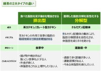 緑茶飲料の２大タイプの違い